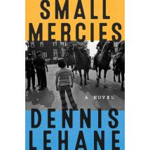 Small Mercies - A Novel