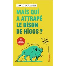 Mais Qui A Attrapé Le Bison De Higgs ? -