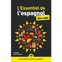L'Essentiel De L'Espagnol Pour Les Nuls Ne