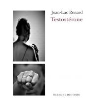 Testostérone