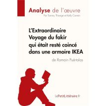 L'Extraordinaire Voyage Du Fakir Qui Était Resté Coincé Dans Une Armoire Ikea, De Romain Puértolas