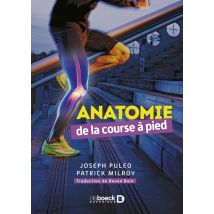 Anatomie De La Course À Pied
