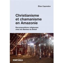 Christianisme Et Chamanisme En Amazonie - Recompositions Religieuses Chez Les Baniwa Du Brésil