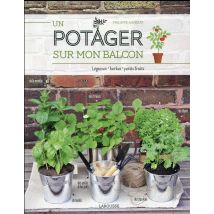 Un Potager Sur Mon Balcon
