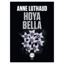 Hoya Bella