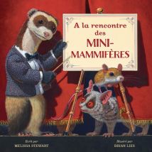 A La Rencontre Des Mini-mammifères