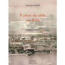 Il Pleut Du Sable Sur Paris