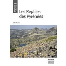 Les Reptiles Des Pyrénées