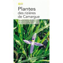 Plantes Des Rizières De Camargue