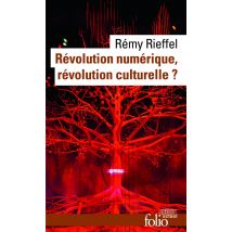 Révolution Numérique, Révolution Culturelle ?