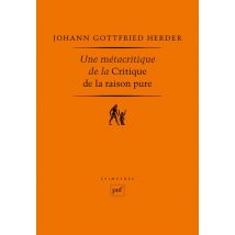 Une Métacritique De La Critique De La Raison Pure