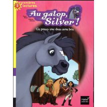 Au Galop, Silver ! Un Poney Star Dans Mon Box