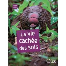 La Vie Cachée Des Sols