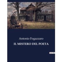 Il Mistero Del Poeta : Un Viaggio Tra Sogno E Realtà: L'Incontro Con L'Anima Gemella