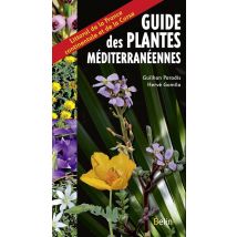 Guide Des Plantes Méditerranéennes
