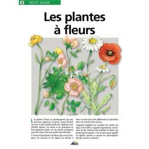 Les Plantes À Fleurs