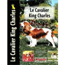 Le Cavalier King Charles