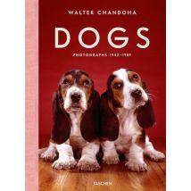 Dogs