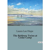 The Bobbsey Twins At Cedar Camp