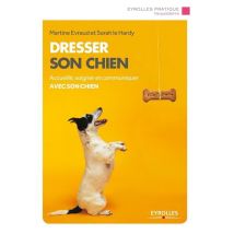 Dresser Son Chien