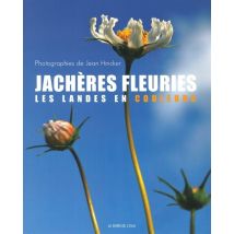 Jachères Fleuries - Les Landes En Couleur