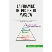 La Piramide Dei Bisogni Di Maslow : Ottenere Informazioni Vitali Su Come Motivare Le Persone