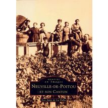 Neuville-de-poitou Et Son Canton