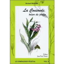 La Consoude, Trésor Du Jardin