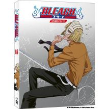 Bleach - Partie 8
