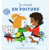 Je Chante En Voiture