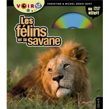 Les Félins Et La Savane