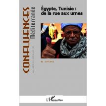 Egypte, Tunisie : De La Rue Aux Urnes