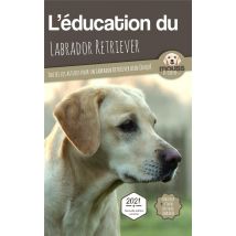 L'Éducation Du Labrador Retriever : Toutes Les Astuces Pour Un Labrador Retriever Bien Éduqué