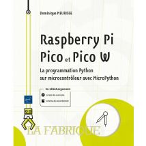 Raspberry Pi Pico Et Pico W : La Programmation Python Sur Microcontrôleur Avec Micropython