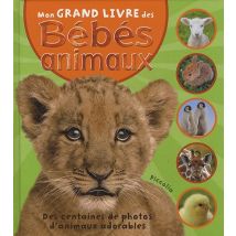 Mon Grand Livre Des Bebes Animaux