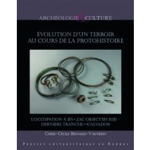 Évolution D'Un Terroir Au Cours De La Protohistoire - L'Occupation À Ifs zac Object'ifs Sud - Dernière Tranche (calvados)