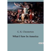 What I Saw In America