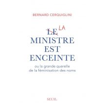 Le Ministre Est Enceinte Ou La Grande Querelle De La Féminisation Des Noms