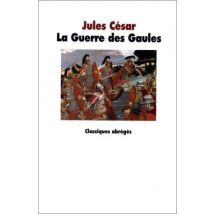 La Guerre Des Gaules