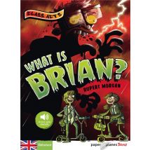 What Is Brian ?