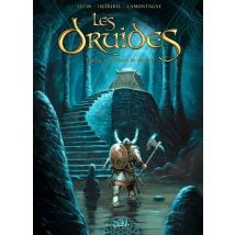 Les Druides Tome 5 : La Pierre De Destinée