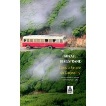 Dans La Brume Du Darjeeling