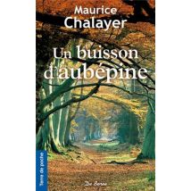 Un Buisson D'Aubépine