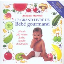 Le Grand Livre De Bebe Gourmand