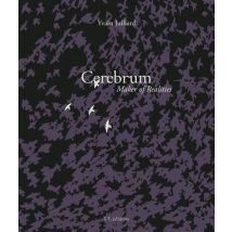 Cerebrum, Maker Of Realities