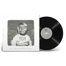 Toy
