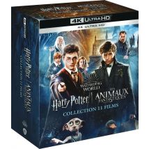 Wizarding World - Harry Potter / Les Animaux Fantastiques - L'Intégrale Coffret 11 Films