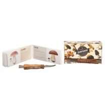 La Cueillette Aux Champignons : Petit Guide Pratique Des Champignons De Nos Régions