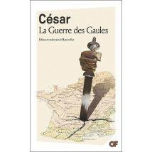 La Guerre Des Gaules
