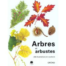 Arbres Et Arbustes